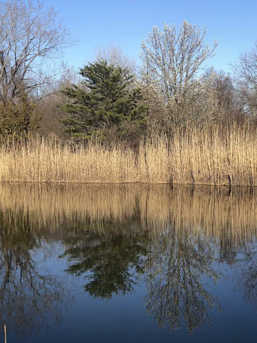 Mariner's Marsh Park Picture 3