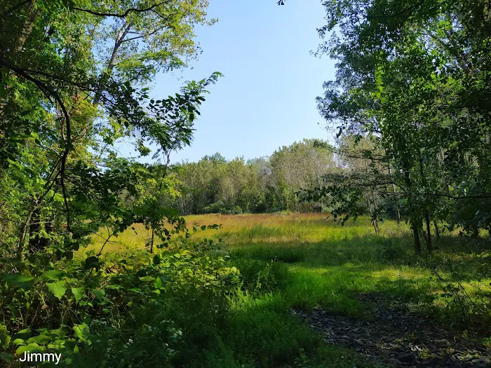 Mariner's Marsh Park Picture 5