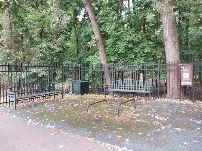 Nosirdzhon Nazarali, The Corporate Park of Staten Island Picture 4