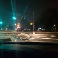 Graniteville Swamp Park ico