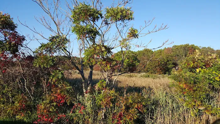 Graniteville Swamp Park Picture 4