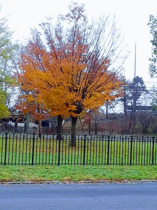 Joseph Manna Park Picture 8