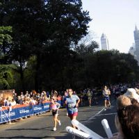 Arlington Marsh Park ico