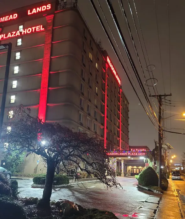 Meadowlands Plaza Hotel Picture 9