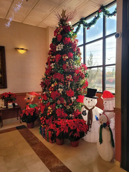 Meadowlands Plaza Hotel Picture 4