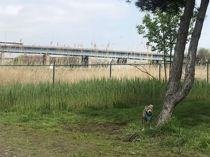 Snipes Park Dog Run Picture 5