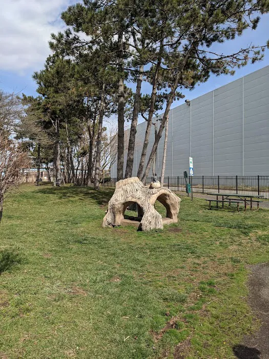 Snipes Park Picture 3
