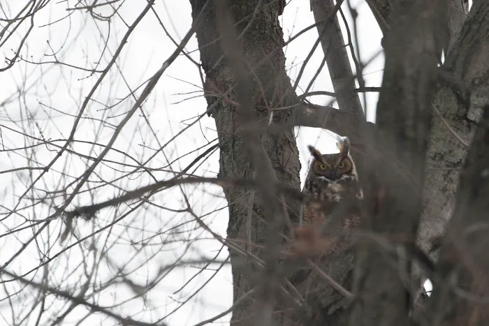Schmidts Woods Park Picture 5