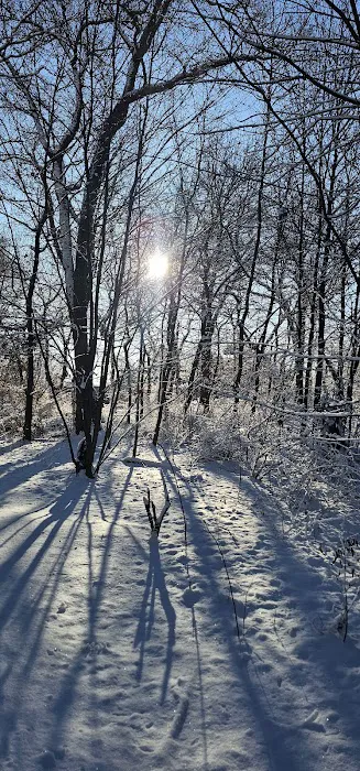 Schmidts Woods Park Picture 6