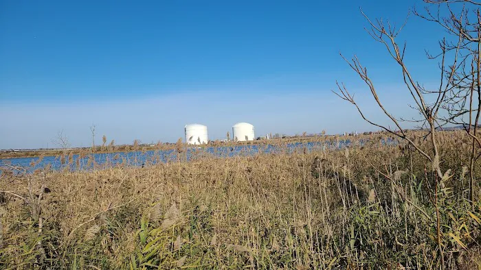 Secaucus Greenway Picture 4