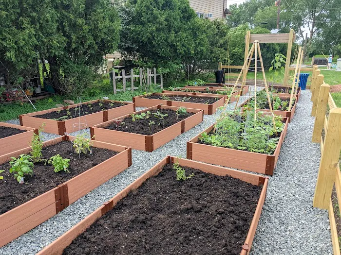 Millridge Community Garden Picture 3