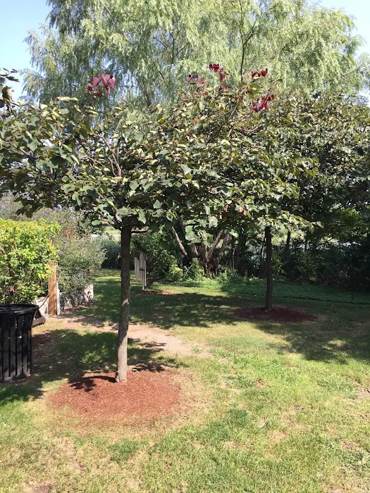 Sadhu Vaswani Meditation Garden Picture 7