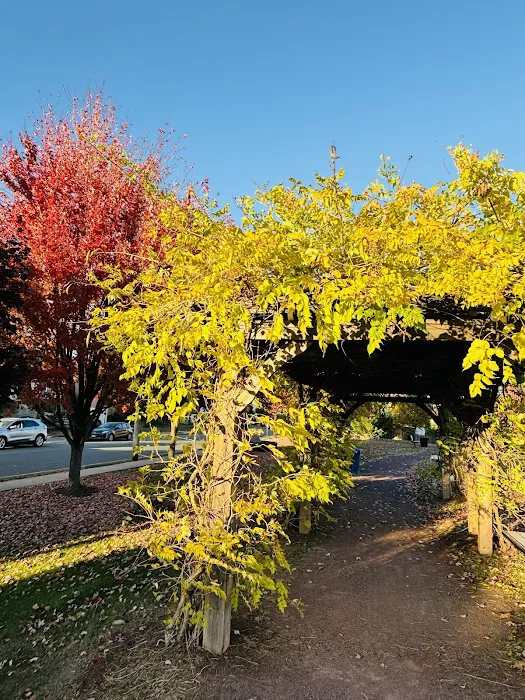 Monarch Park Picture 4