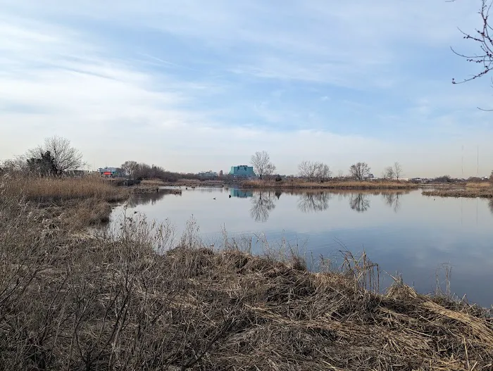 Mill Creek Marsh Trail Picture 8