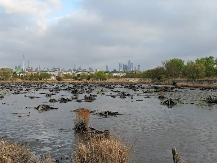 Mill Creek Marsh Trail Picture 5