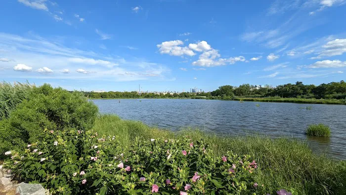 Mill Creek Marsh Trail Picture 4