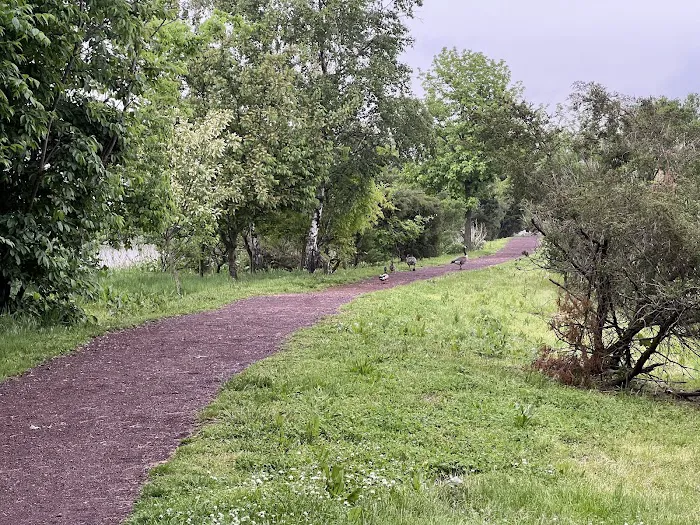Mill Creek Marsh Trail Picture 10