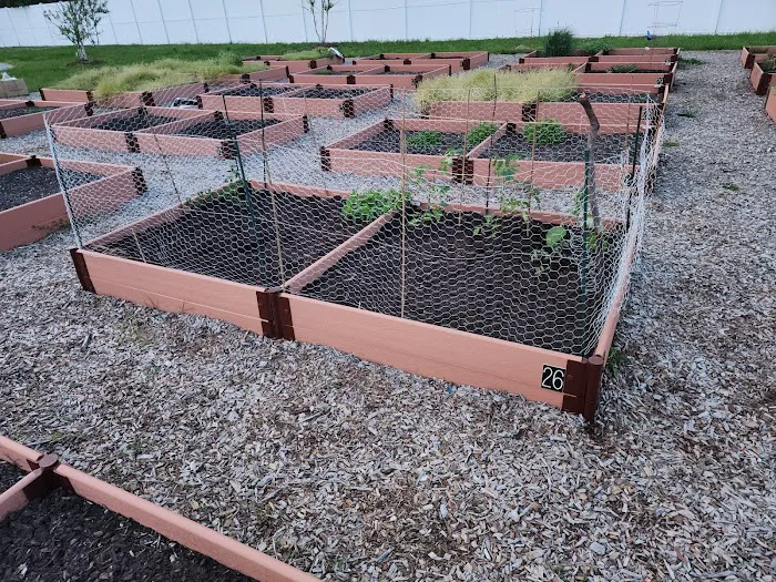 Imagine Gardens Picture 3