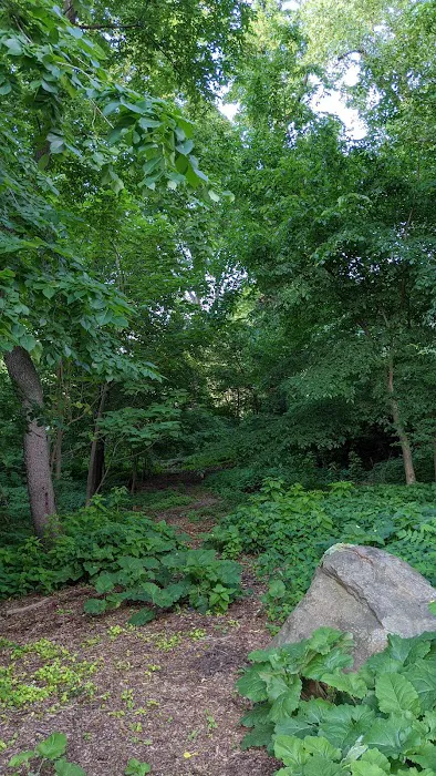 Lincoln Woods Picture 8