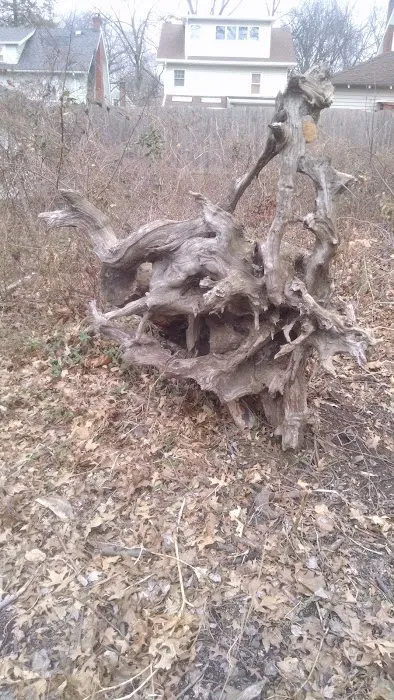 Lincoln Woods Picture 3