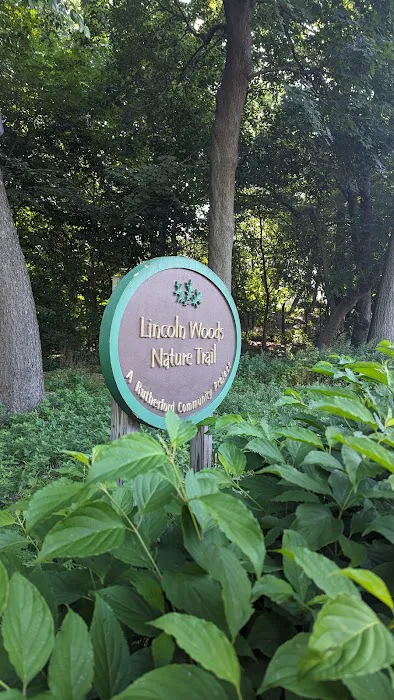 Lincoln Woods Picture 10