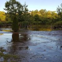 Rutherford Waterfront Park ico