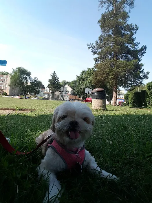 Shevchenko Park Picture 3