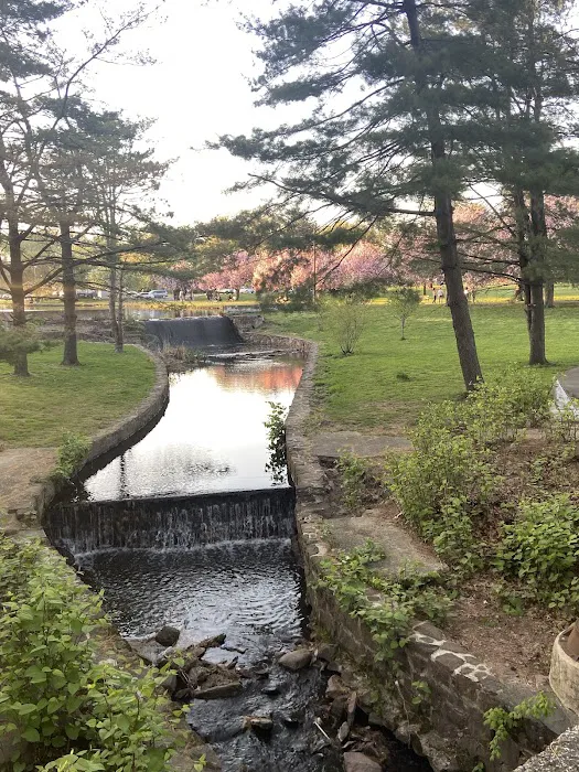 Veteran Memorial Park Picture 4
