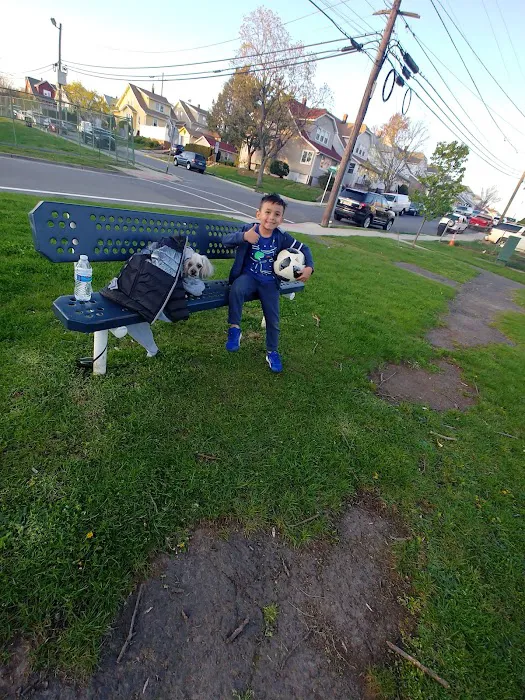 Lakeview Park Picture 9