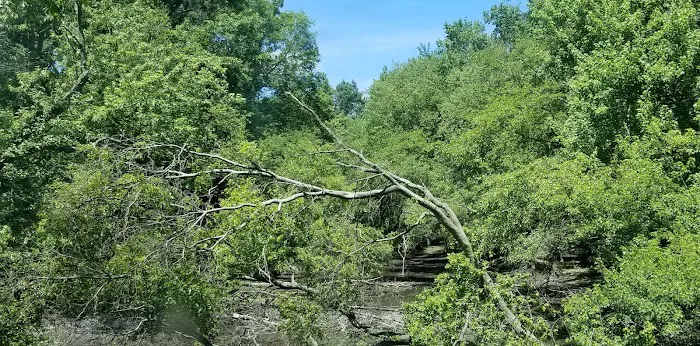 Rockaway Neck Park Picture 5
