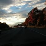 Rockaway Neck Park