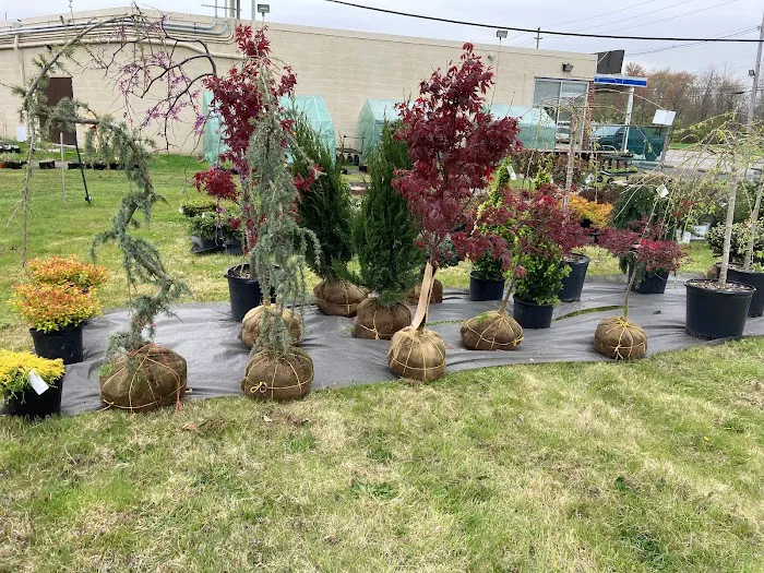 The Garden Shop at TGC Toys and Gifts Picture 6
