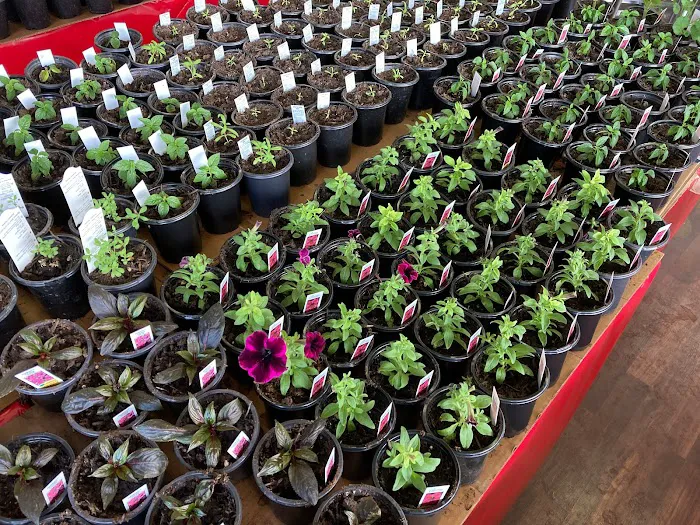 The Garden Shop at TGC Toys and Gifts Picture 10