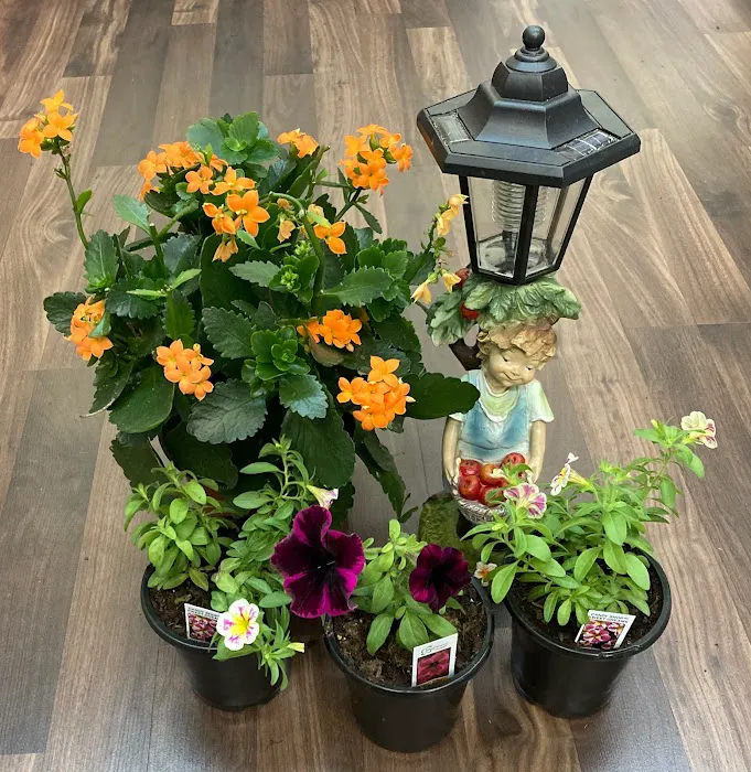 The Garden Shop at TGC Toys and Gifts Picture 9