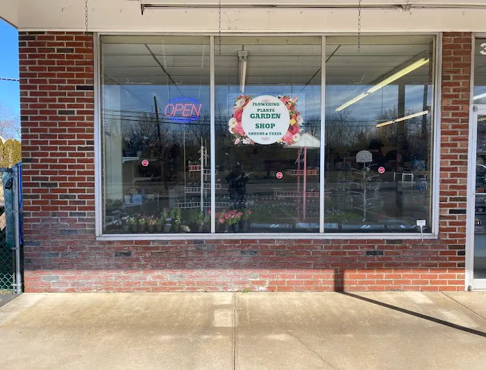 The Garden Shop at TGC Toys and Gifts Picture 1