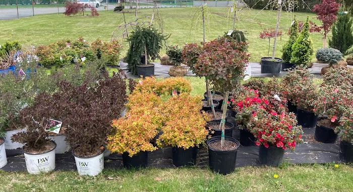 The Garden Shop at TGC Toys and Gifts Picture 8