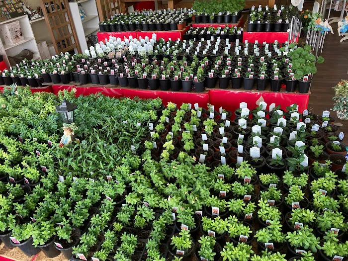 The Garden Shop at TGC Toys and Gifts Picture 5