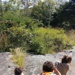 Manchester Park