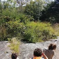 Manchester Park ico
