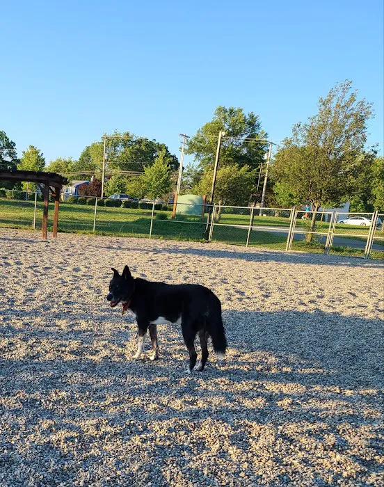 Montville Dog Park Picture 4