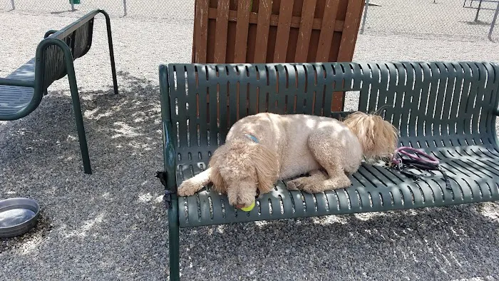 Montville Dog Park Picture 10