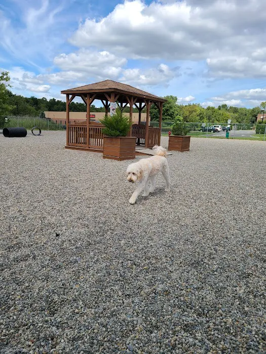 Montville Dog Park Picture 6