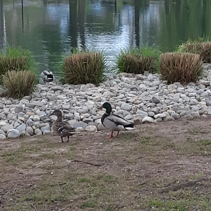 Weasel Brook Park Picture 8