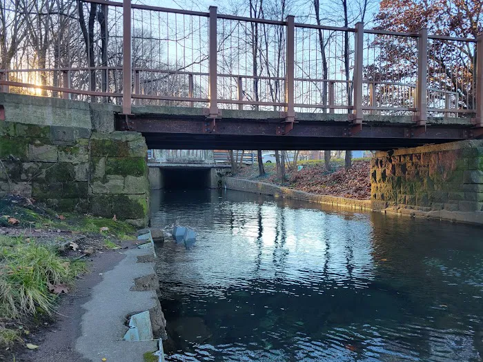 Weasel Brook Lake Picture 4