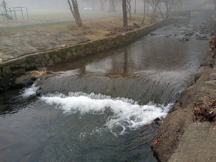 Weasel Brook Lake Picture 2