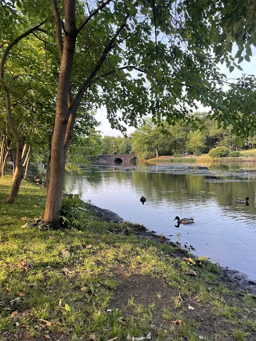 Weasel Brook Lake Picture 8