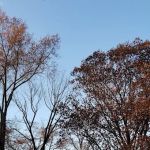 Borough of Midland Park Park