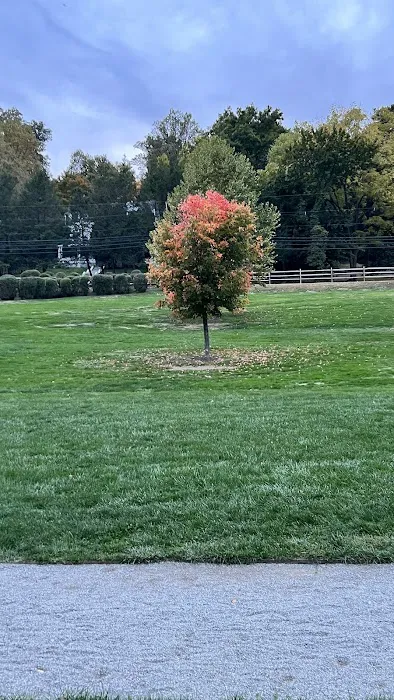 Goffle Brook Park Baseball Field Parking Picture 3