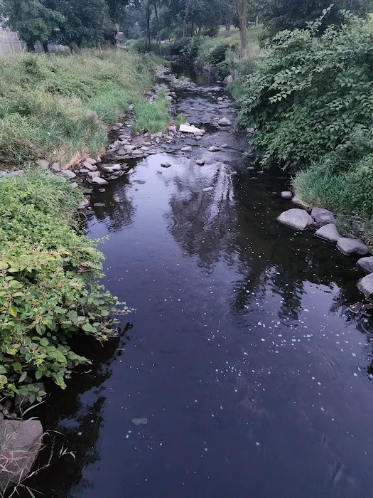 Goffle Brook Park Picture 10