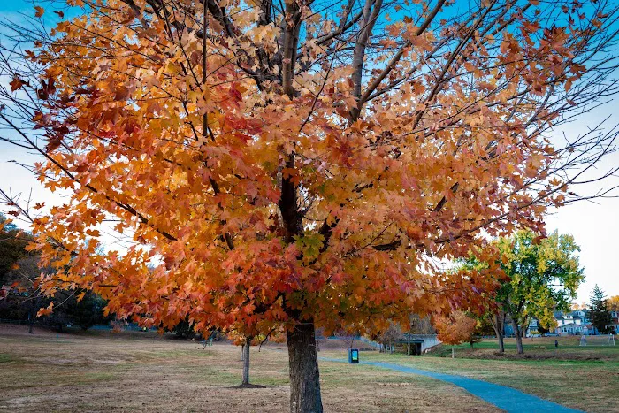 Goffle Brook Park Picture 8